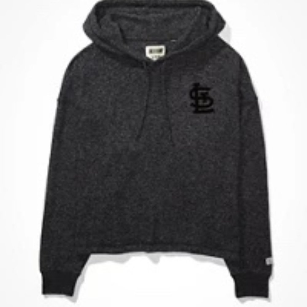 AE Tailgate  St. Louis Cardinals Plush Hoodie.